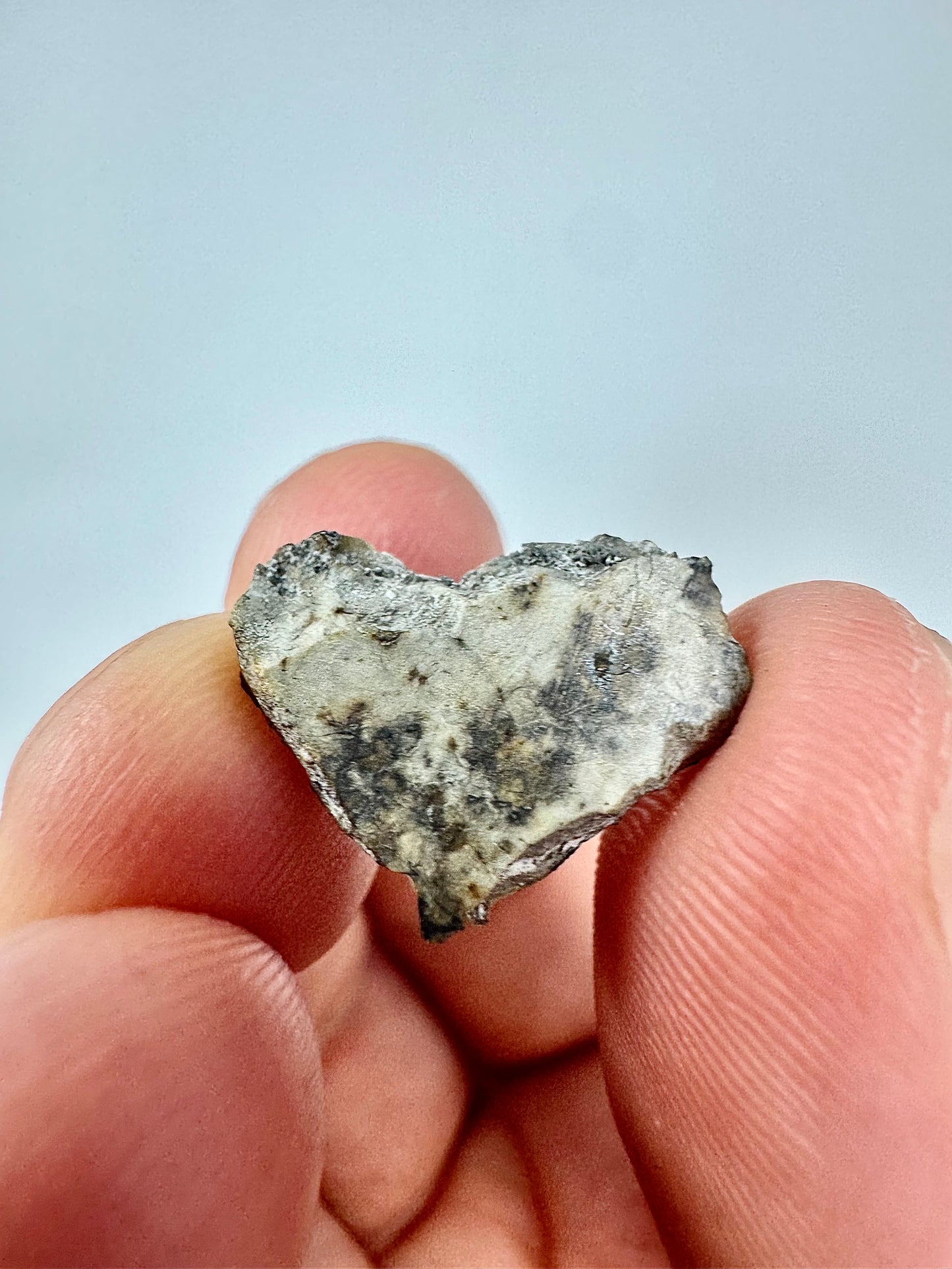 1.2g Djoua 001 Enstatite Achondrite Meteorite - Evidence of Planet Mercury - Marble Appearance
