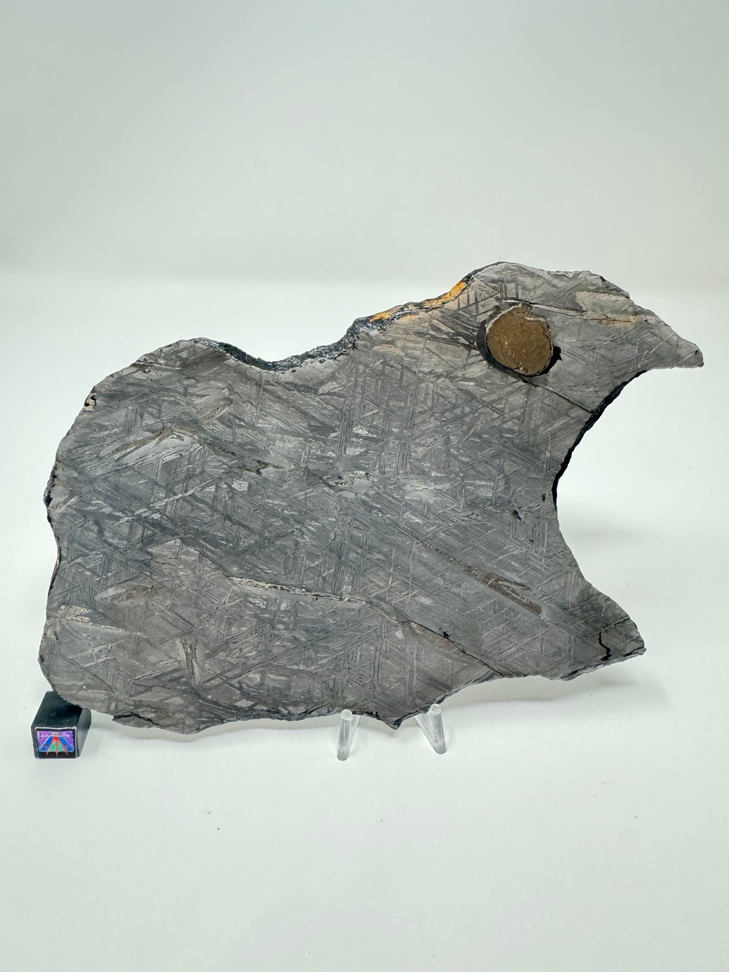 “The Monster” Iron Meteorite (Under Classification) - 268.3g Full Slice