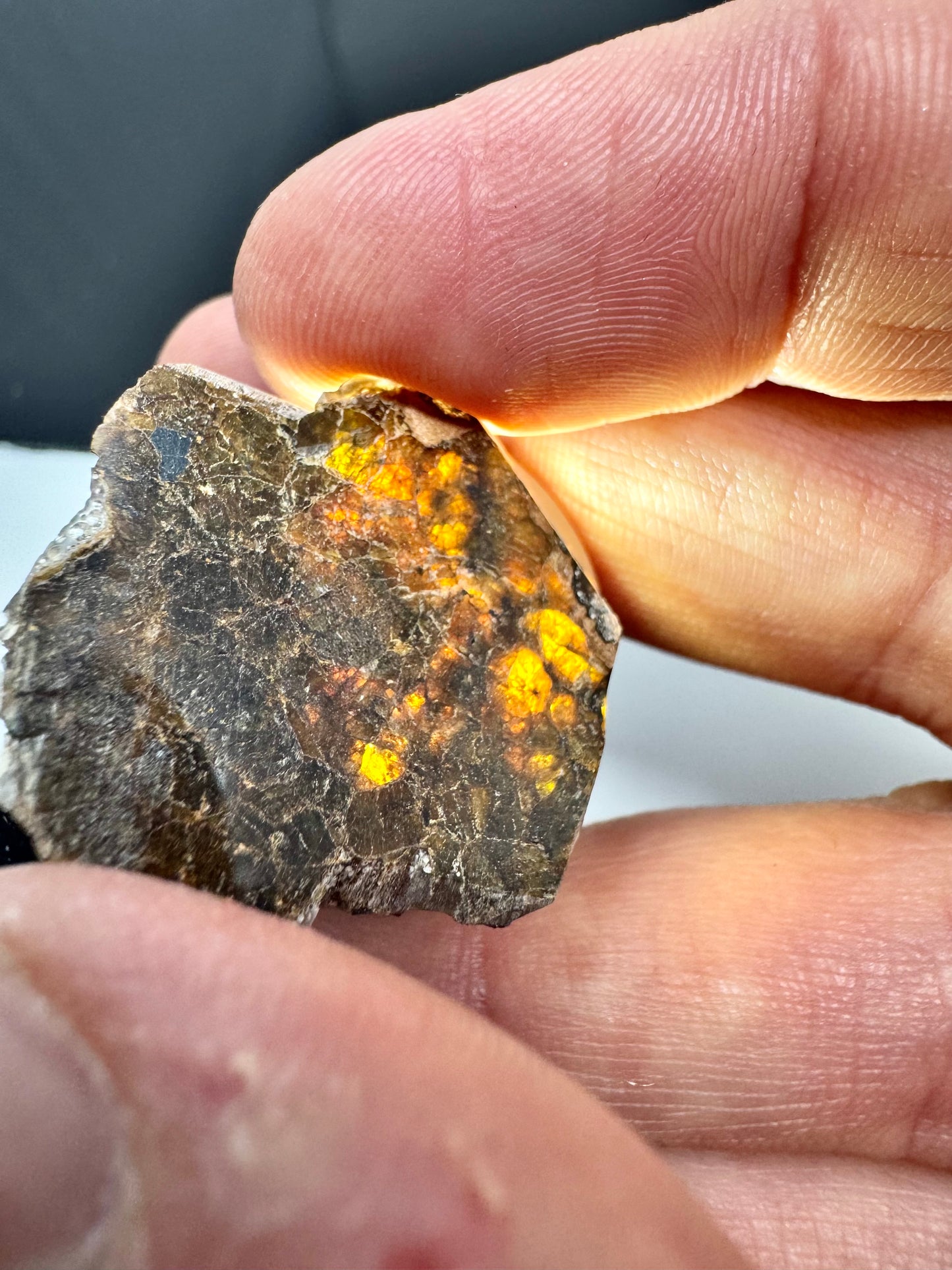 2.9g NWA 16317 Translucent Diogenite Meteorite - Parent Body: Asteroid Vesta