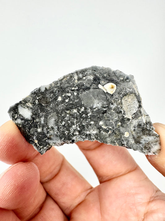 6.0g Adrar 017 Lunar Meteorite - A Rare Gabbro/Norite - From Our Moon!
