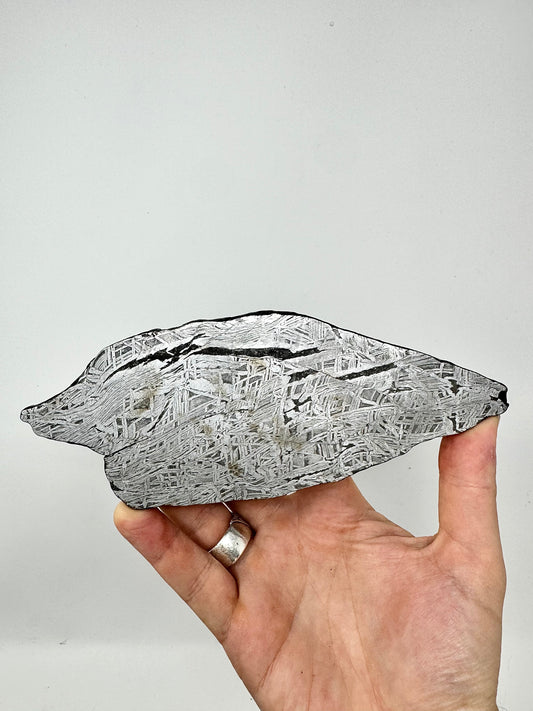 363.9g Aletai Meteorite - Beautiful Pattern - From The Core Of An Asteroid!