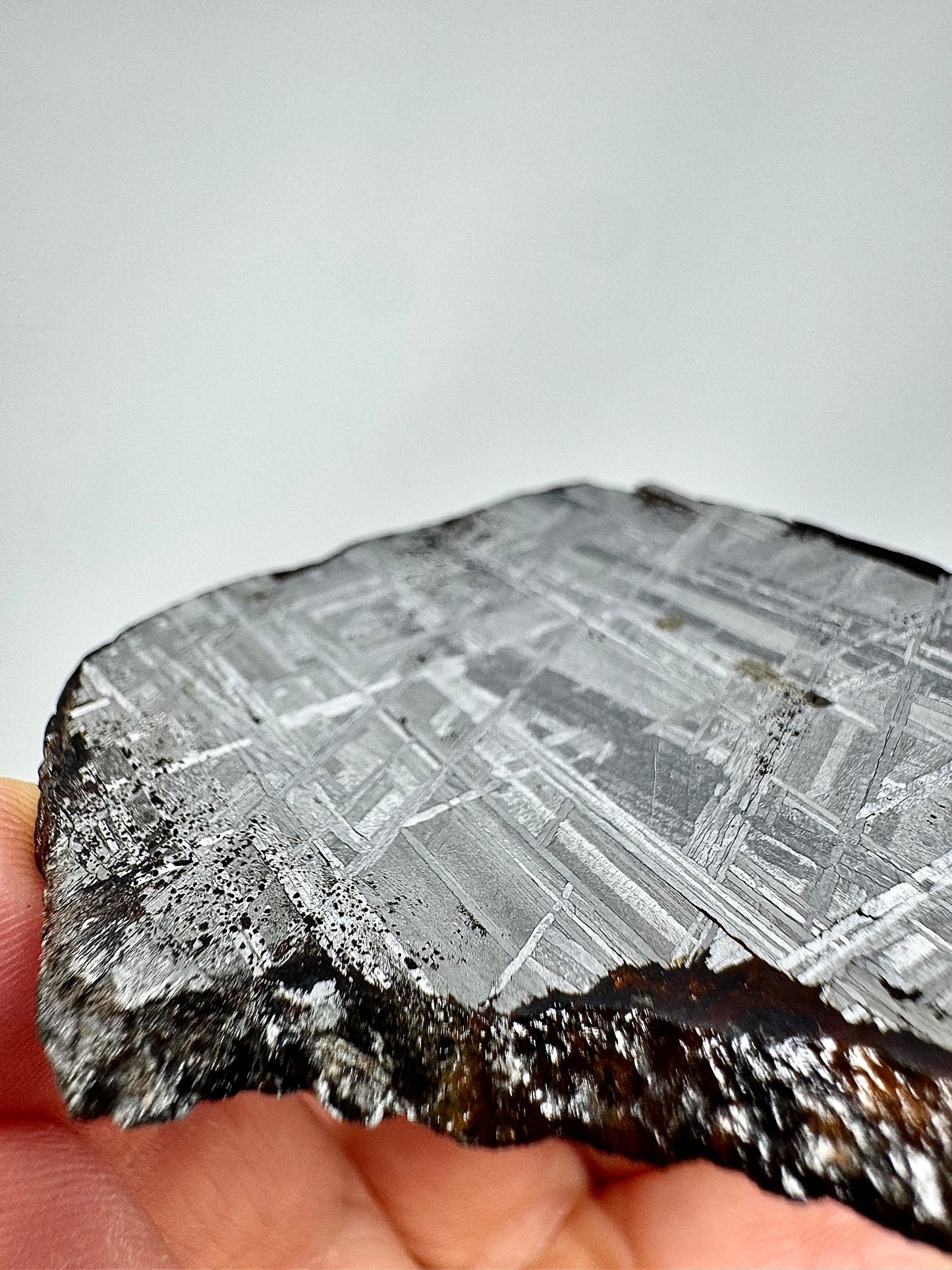 Muonionalusta Iron Meteorite - 50.9g Full Slice - From The Core Of An Asteroid!