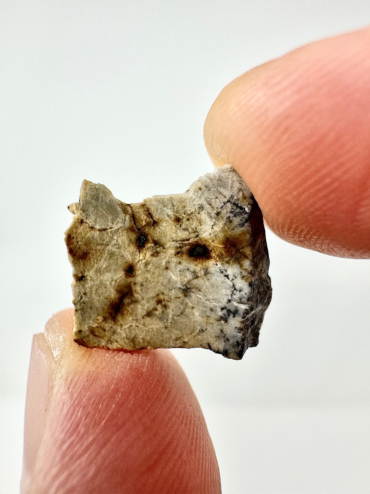1.2g Djoua 001 Enstatite Achondrite Meteorite - Evidence of Planet Mercury - Marble Appearance
