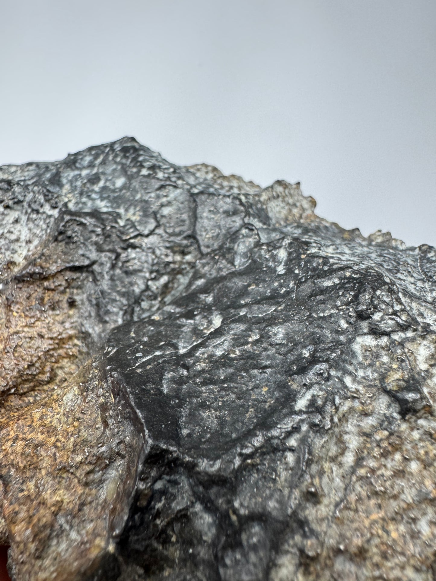 NEW! NWA 17273 Massive L5 Melt Breccia Meteorite End Cut w/ Jet Black Fusion Crust - From An Asteroid! 964.5g