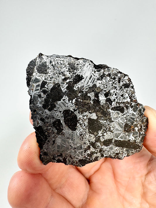 NEW! 21.6g Tessalit 001 - Extremely High Iron Winonaite Meteorite Under Study - A Primitive Achondrite!