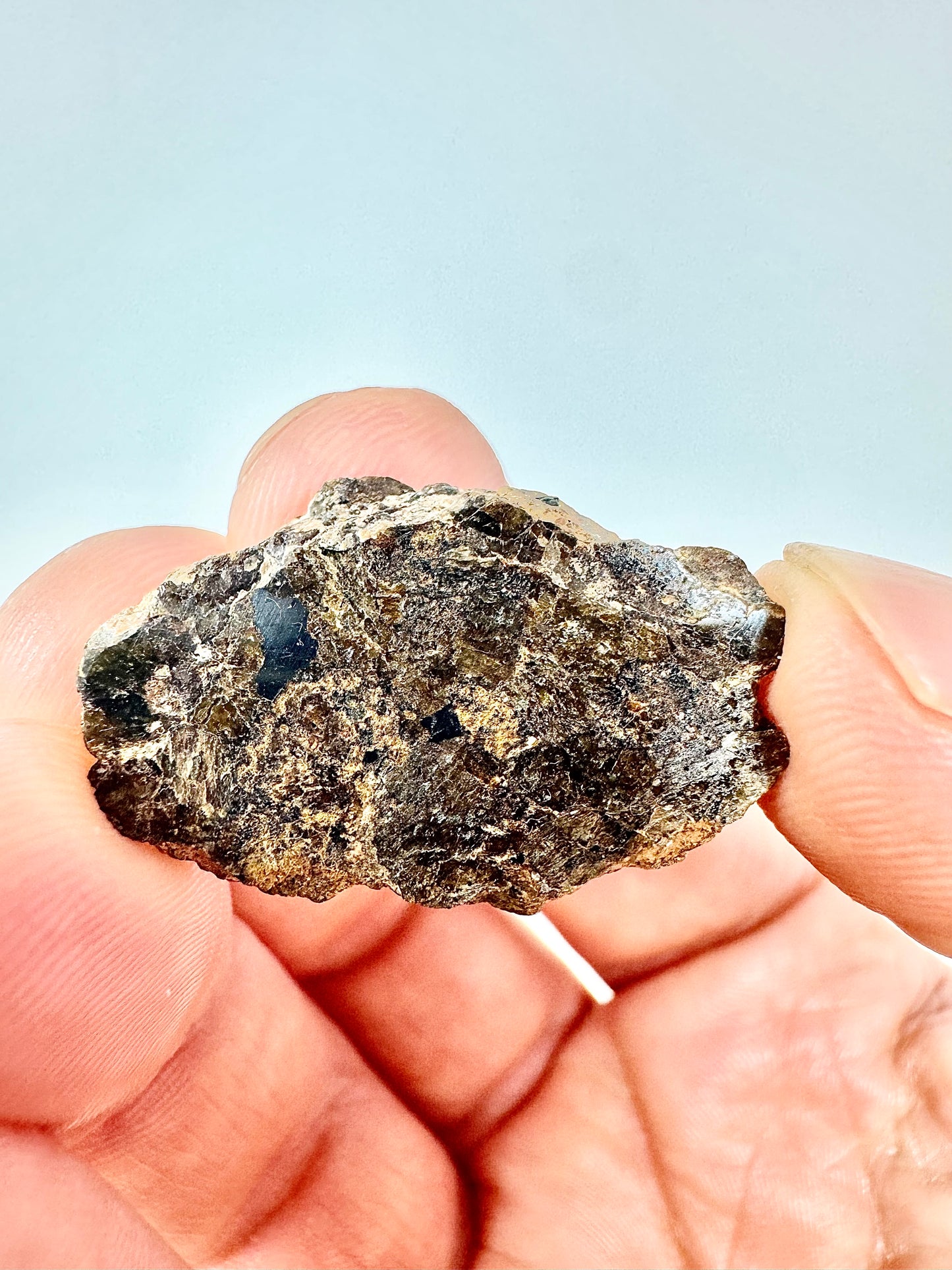 5.2g END CUT NWA 16317 Translucent Diogenite Meteorite - Parent Body: Asteroid Vesta