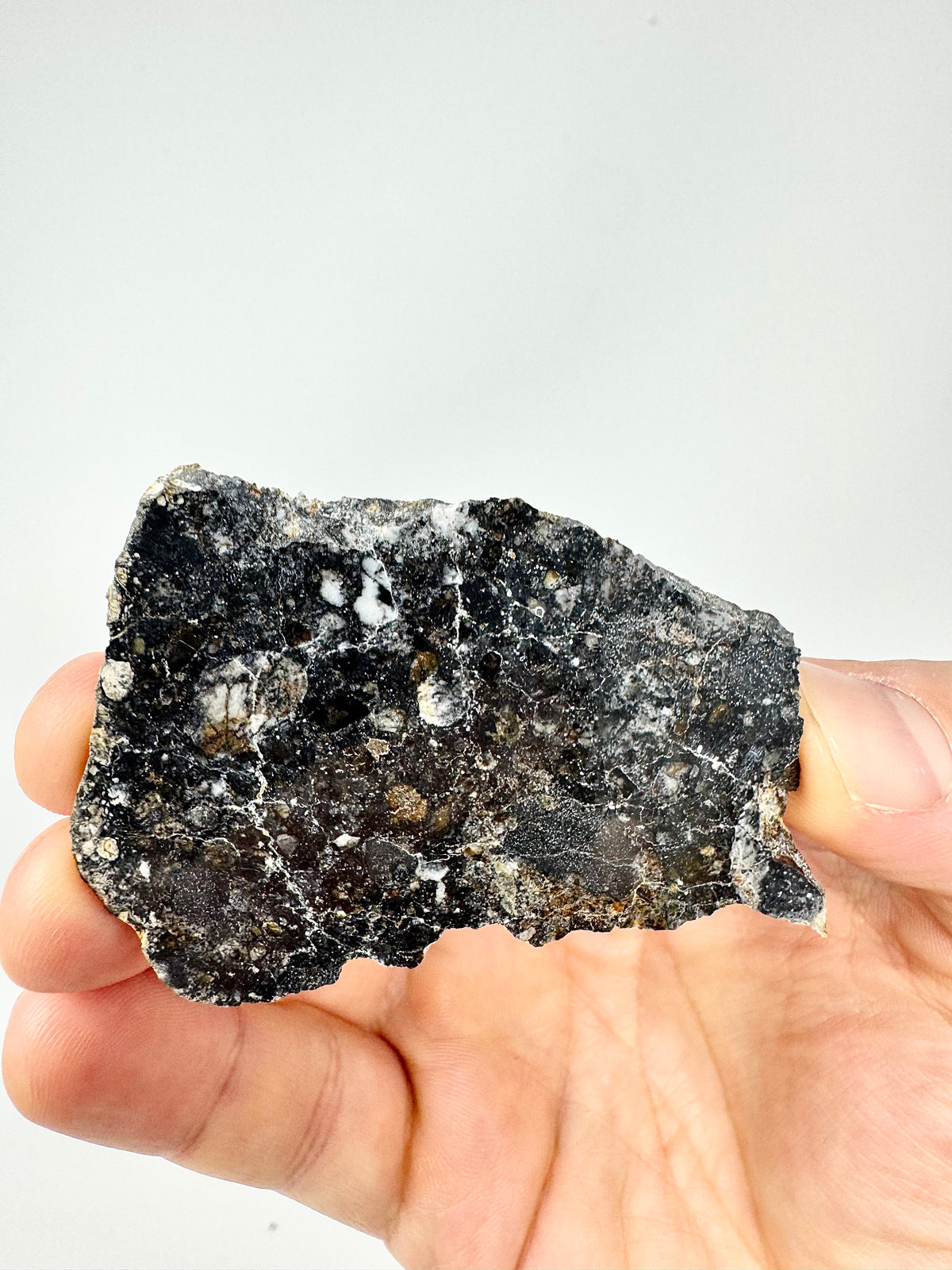 NEW: 18.5g Personal Classification of NWA 18785 Aubrite - Fragmental Monomict Breccia, Enstatite Achondrite Meteorite - Evidence of Possible Linkage To Planet Mercury