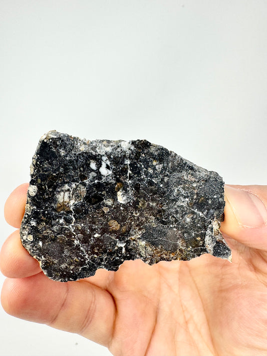 NEW: 18.5g Personal Classification of NWA 18785 Aubrite - Fragmental Monomict Breccia, Enstatite Achondrite Meteorite - Evidence of Possible Linkage To Planet Mercury