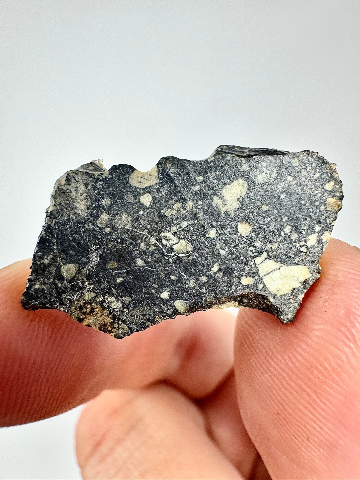 2.3g Stunning Diogenite Meteorite Under Classification - Beautiful Matrix! Parent Body: Asteroid Vesta