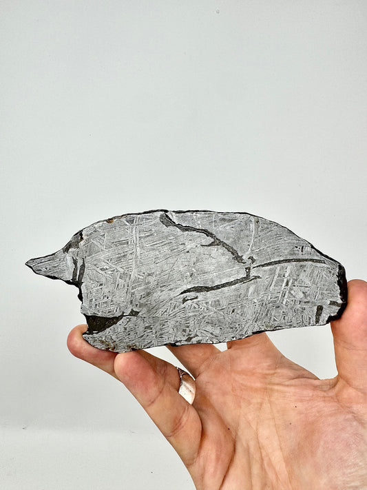 271.6g Aletai Meteorite - Beautiful Pattern - From The Core Of An Asteroid!