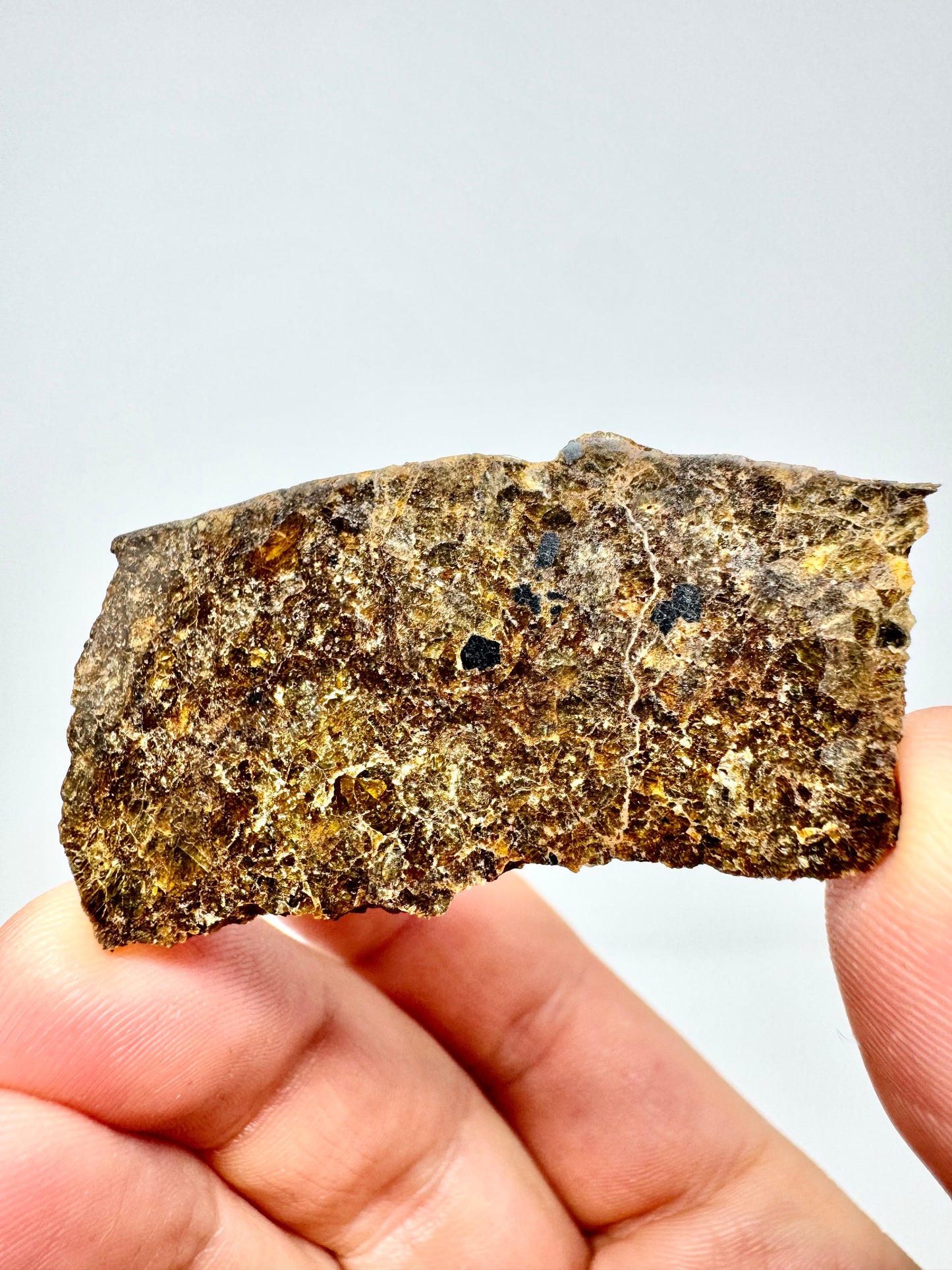 7.6g NWA 16317 Translucent Diogenite Meteorite - Parent Body: Asteroid Vesta
