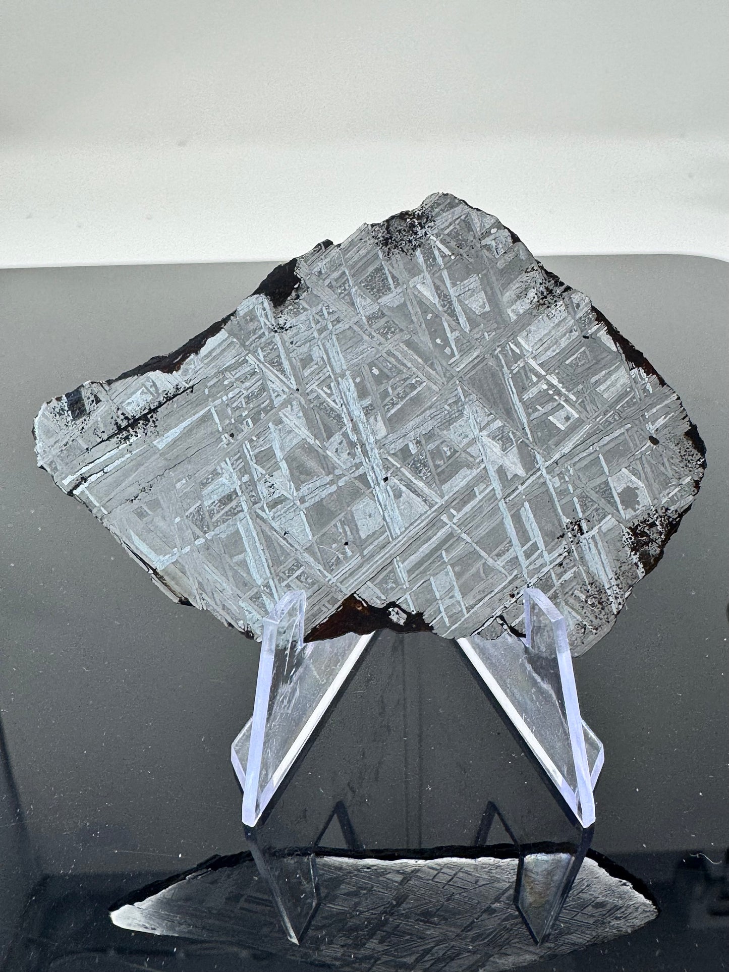 Muonionalusta Iron Meteorite - 50.9g Full Slice - From The Core Of An Asteroid!