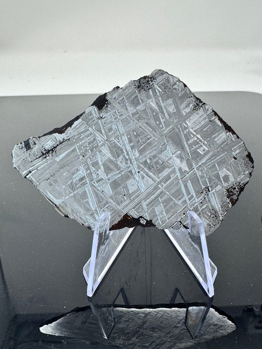 Muonionalusta Iron Meteorite - 50.9g Full Slice - From The Core Of An Asteroid!