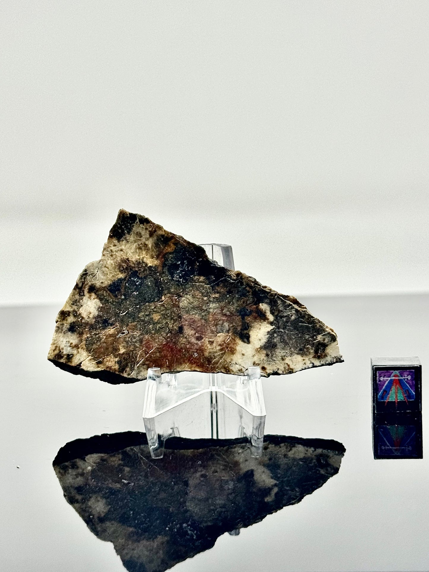 26.6g Djoua 001 Enstatite Achondrite Meteorite - Thick Cut! Evidence of Planet Mercury - Marble Appearance