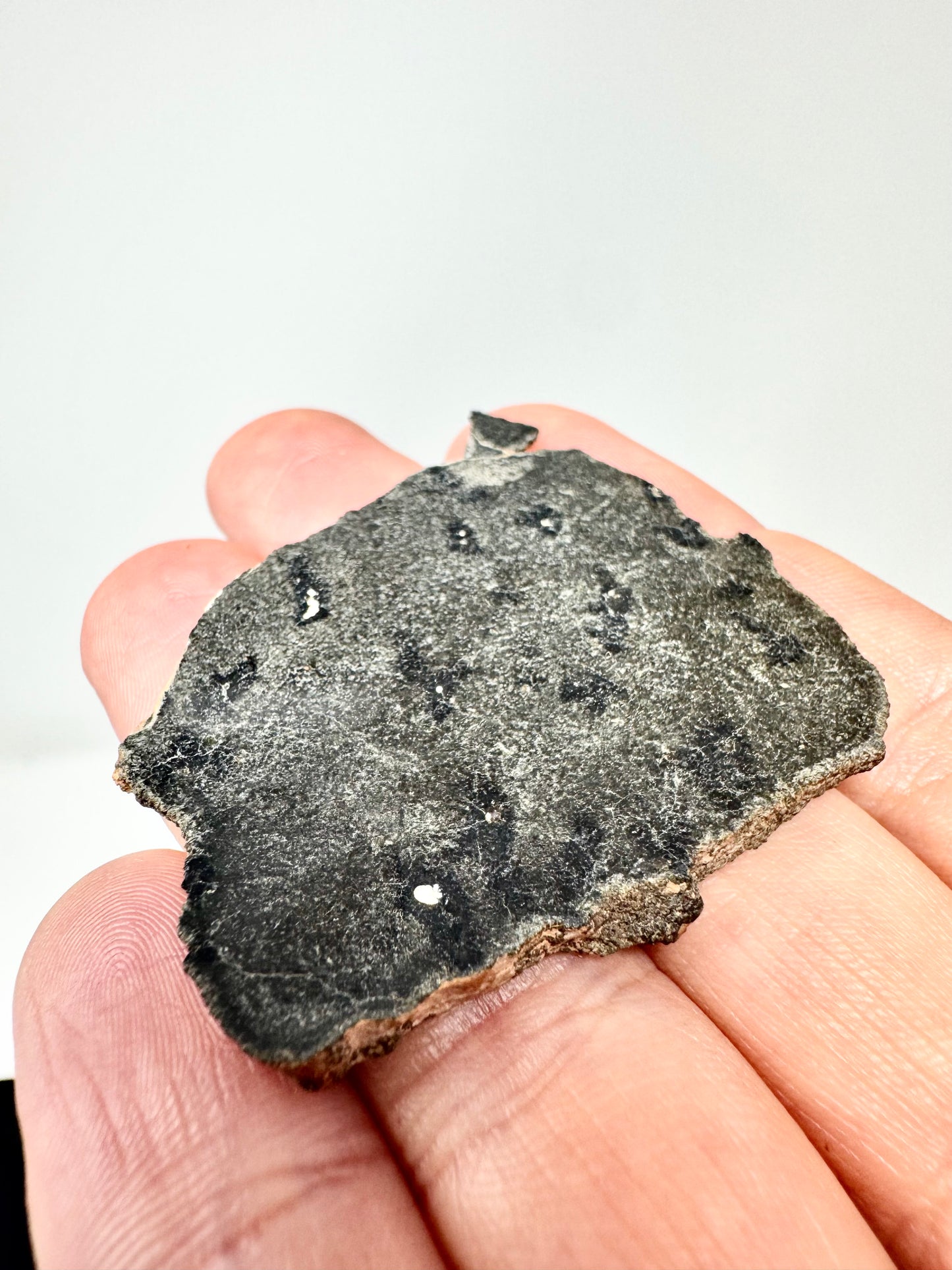 12.4g Genuine Martian Meteorite with Aqueous Alteration - Pending Classification - Scientifically Studied Rock From Planet Mars