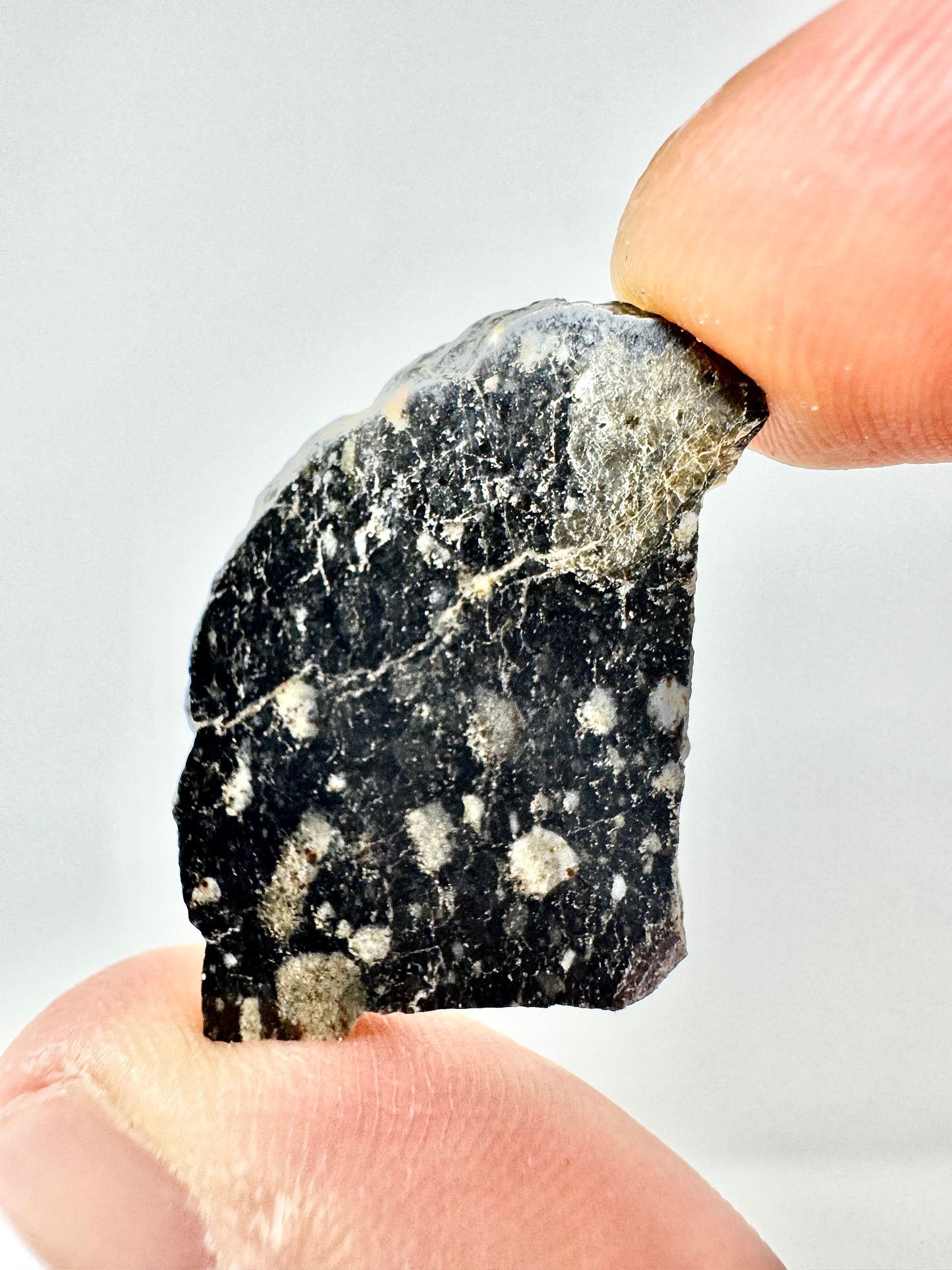 NEW! 2.4g Newly Discovered Lunar Breccia - A Genuine Piece Of Our Moon!