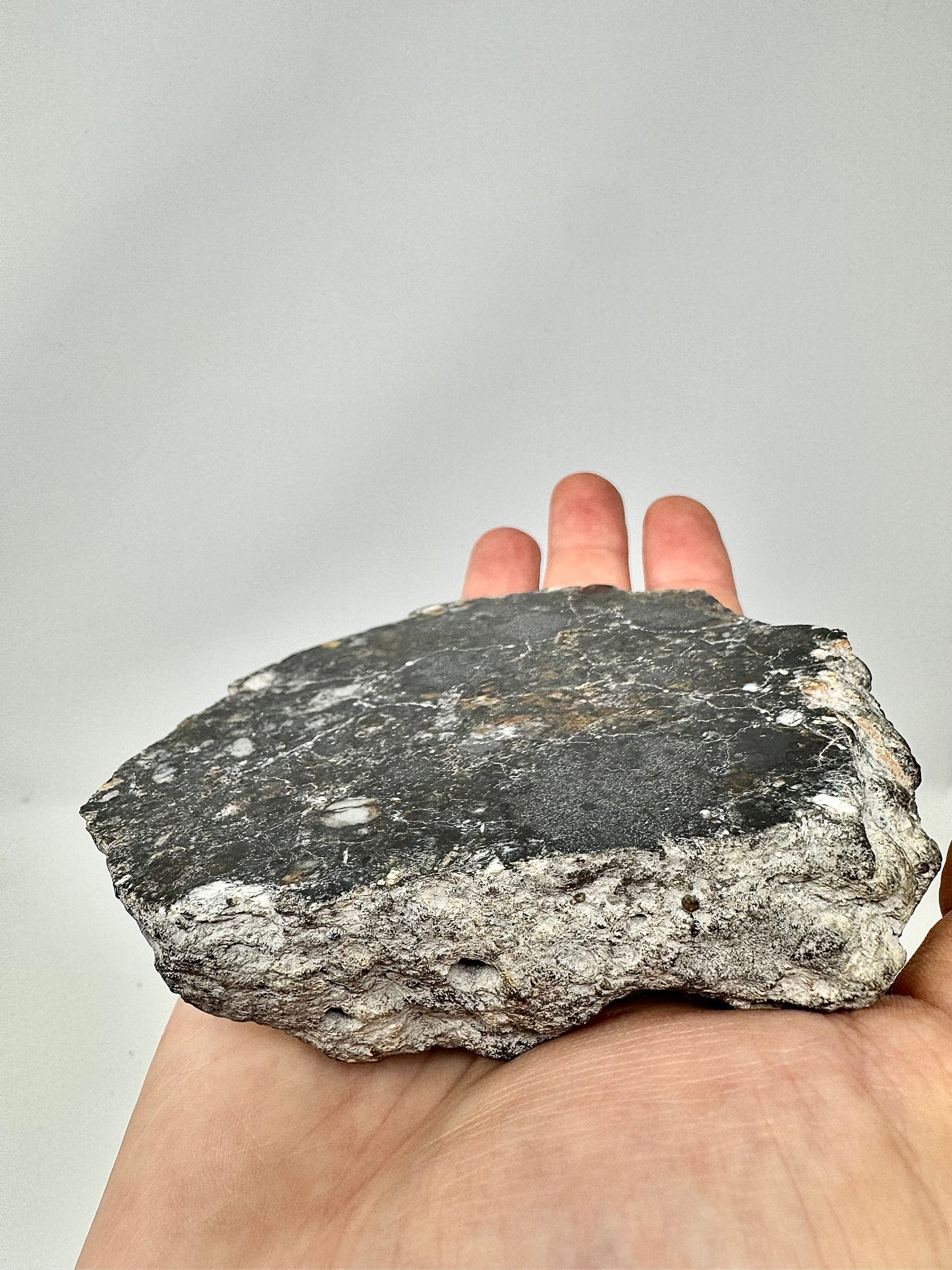 NEW/MAIN MASS/FLUORESCES! 431.5g Jaw-Dropping Personal Classification of NWA 18785 Aubrite - Fragmental Monomict Breccia, Enstatite Achondrite Meteorite - Evidence of Possible Linkage To Planet Mercury