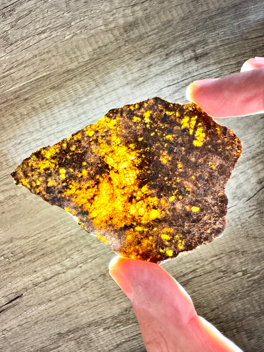 15.3g NWA 16317 Translucent Diogenite Meteorite - Parent Body: Asteroid Vesta