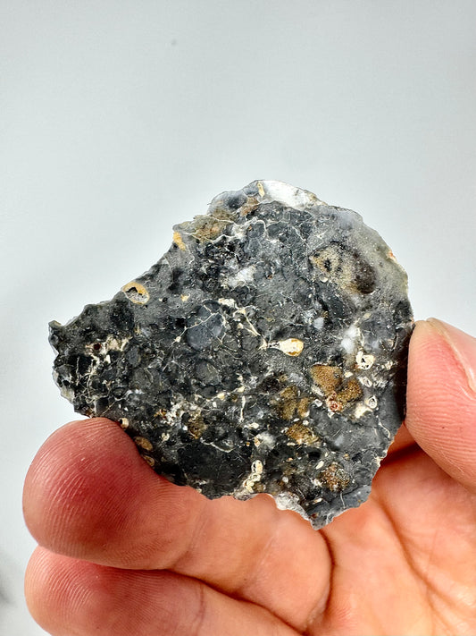 8.6g Adrar 017 Lunar Meteorite - A Rare Gabbro/Norite - From The Moon!