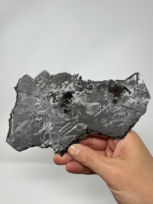 Historical Toluca Meteorite Found in 1776! Used As Tools For Centuries! From The Core Of An Asteroid! 297.6g