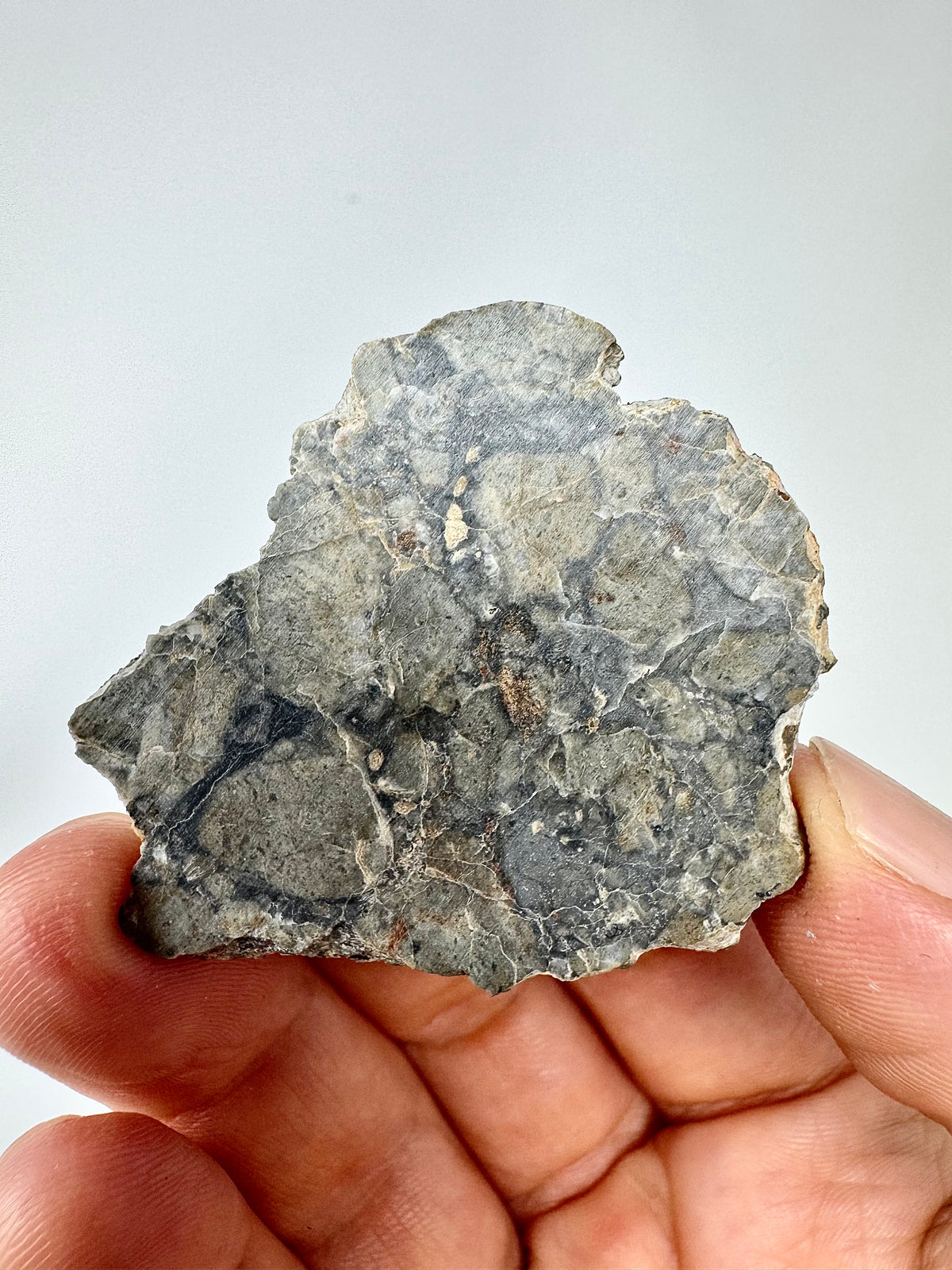 6.0g Adrar 017 Lunar Meteorite “The Halloween Skull” - A Rare Gabbro/Norite - From The Moon!