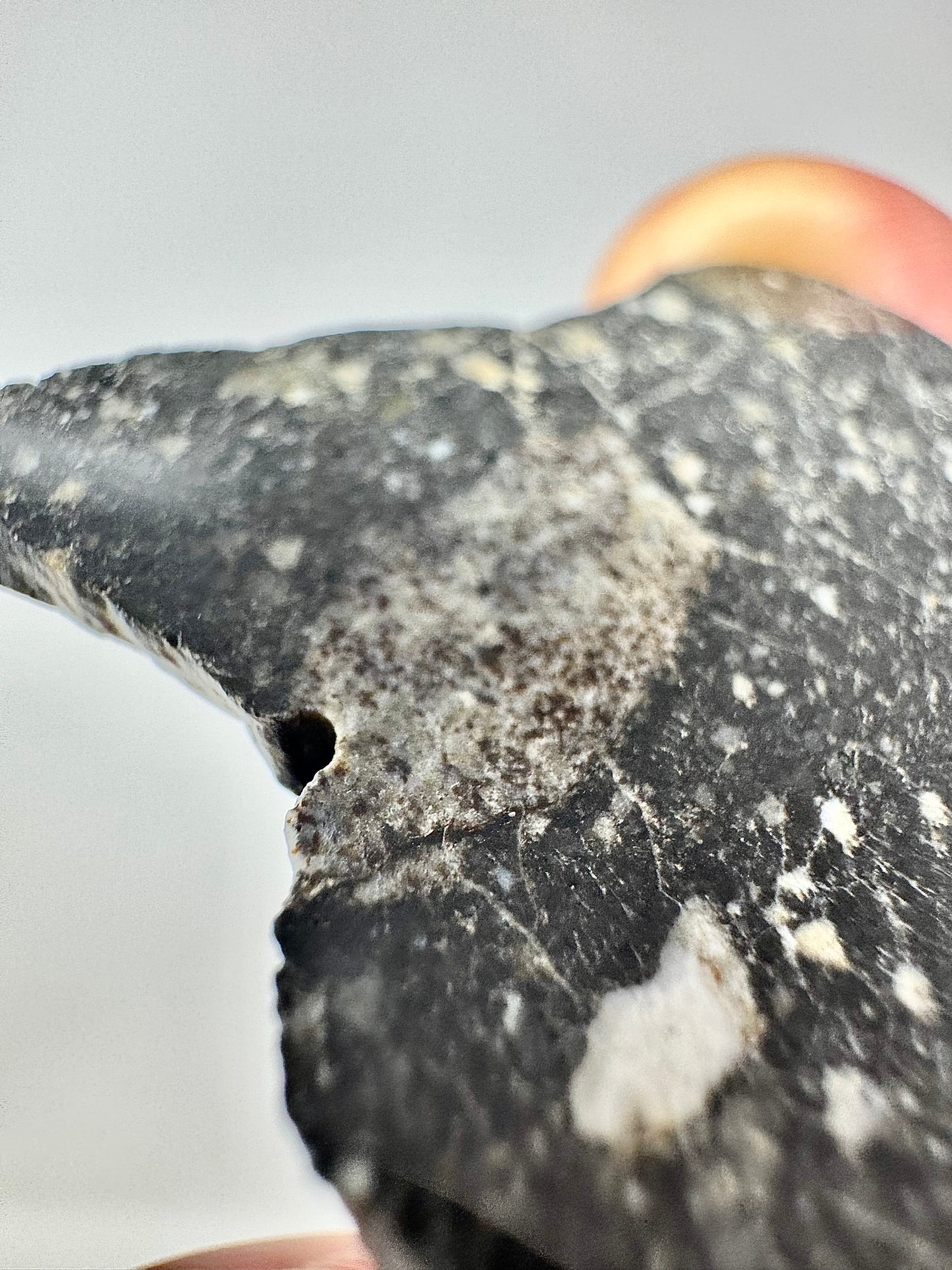 NEW! 5.6g Newly Discovered Lunar Breccia - FULL SLICE - A Genuine Piece Of Our Moon!