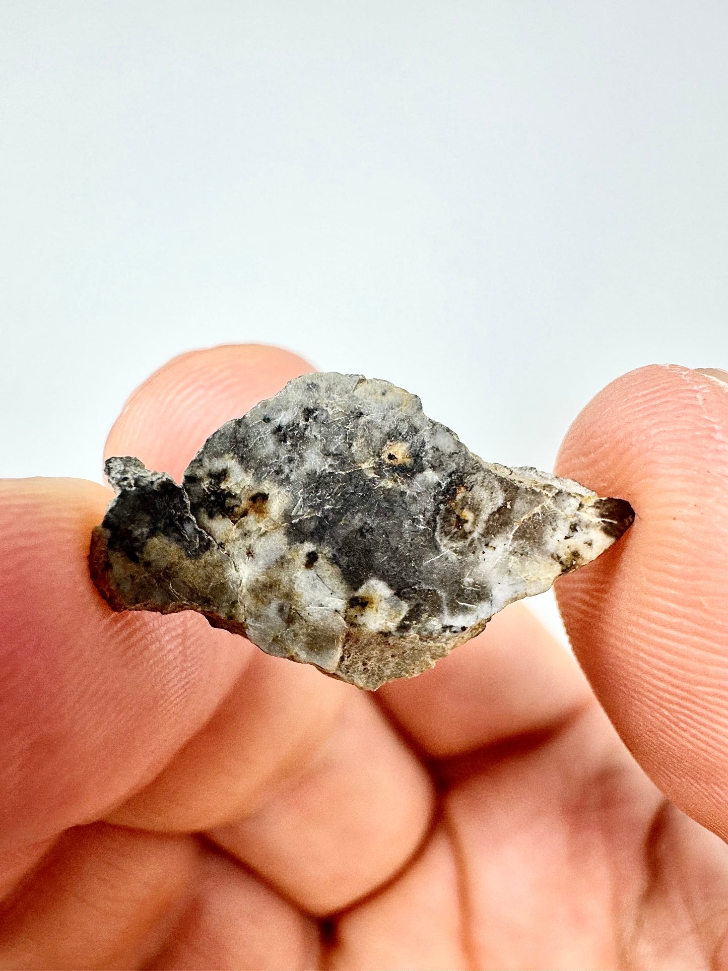 1.6g Djoua 001 Enstatite Achondrite Meteorite - Evidence of Planet Mercury - Marble Appearance