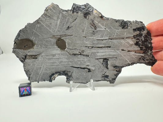 Aletai Meteorite - 278.9g - Full Slice w/ Troilite Inclusion!