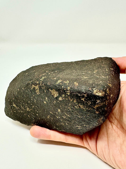 Stunning Chondrite Meteorite - Full Stone - Beautiful Shape!