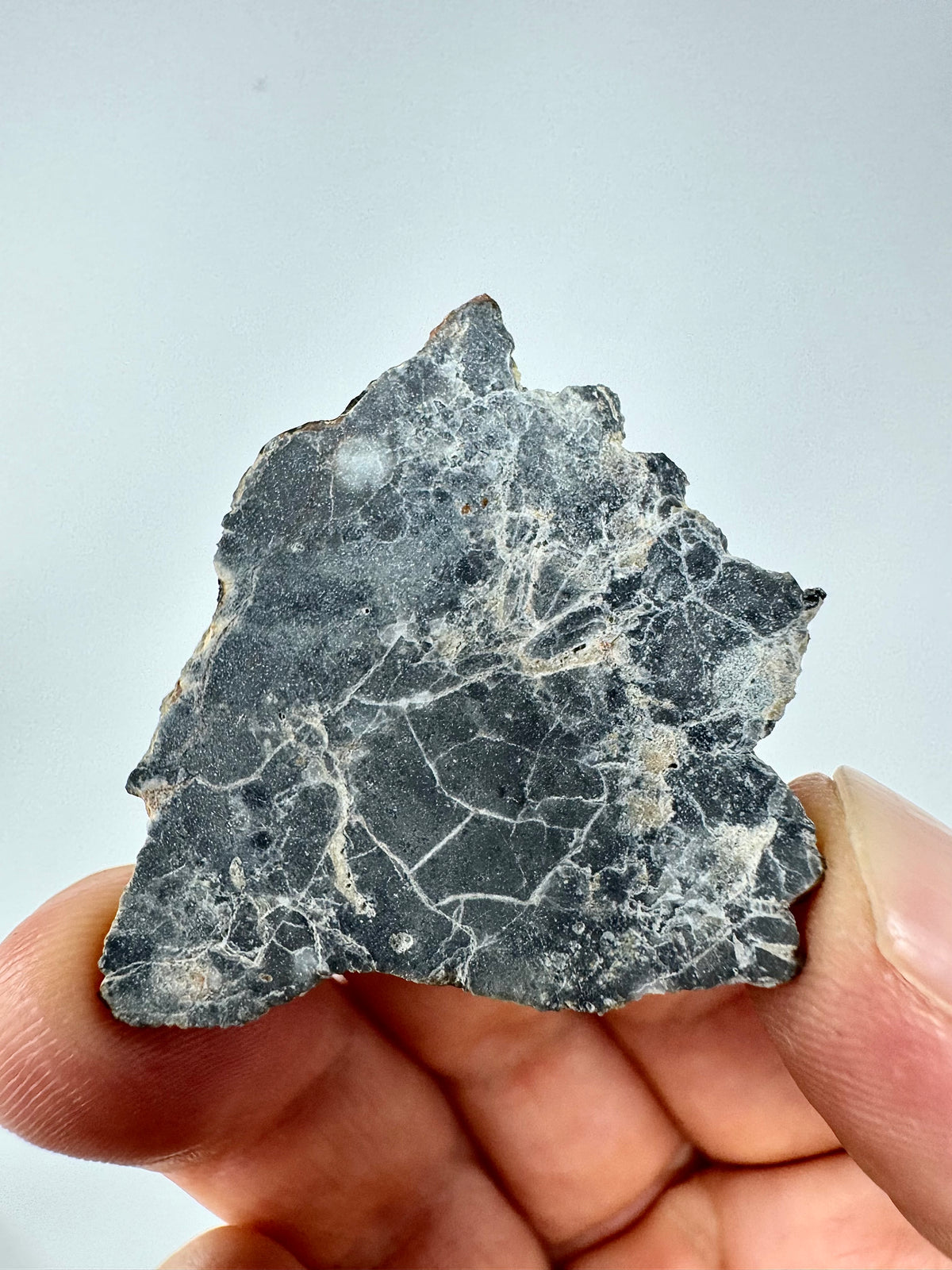 5.6g Adrar 017 Lunar Meteorite - A Rare Gabbro/Norite - From The Moon!