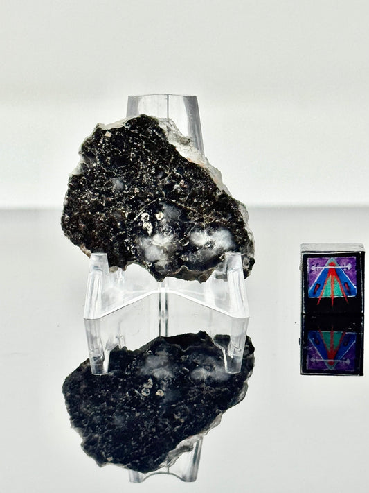4.0g NWA 17270 Lunar Meteorite - From Our Moon!