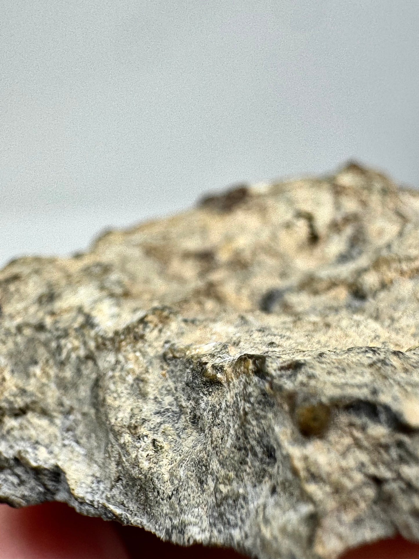 37.3g NWA 17270 Lunar Melt Breccia Meteorite END CUT - From Our Moon!