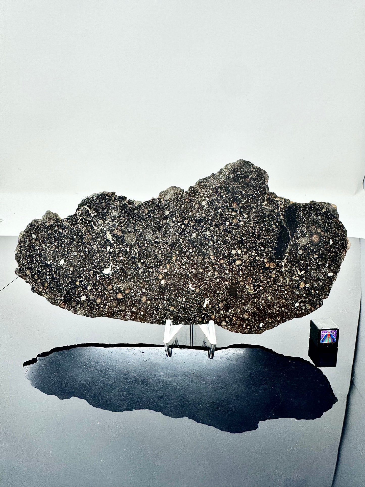 73.1g Stunning FULL SLICE of NWA 3118 CV3 Carbonaceous Chondrite Meteorite