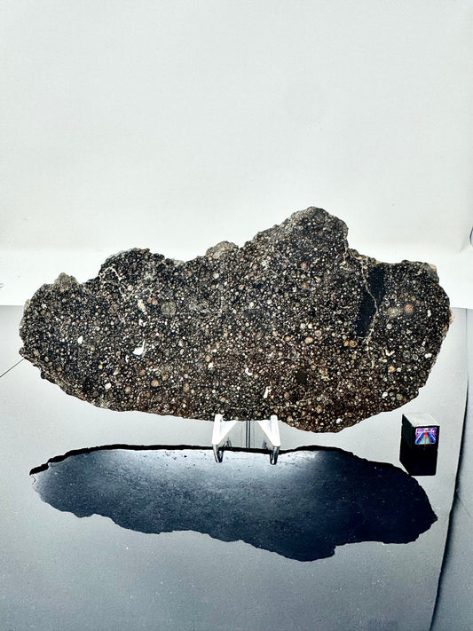 73.1g Stunning FULL SLICE of NWA 3118 CV3 Carbonaceous Chondrite Meteorite