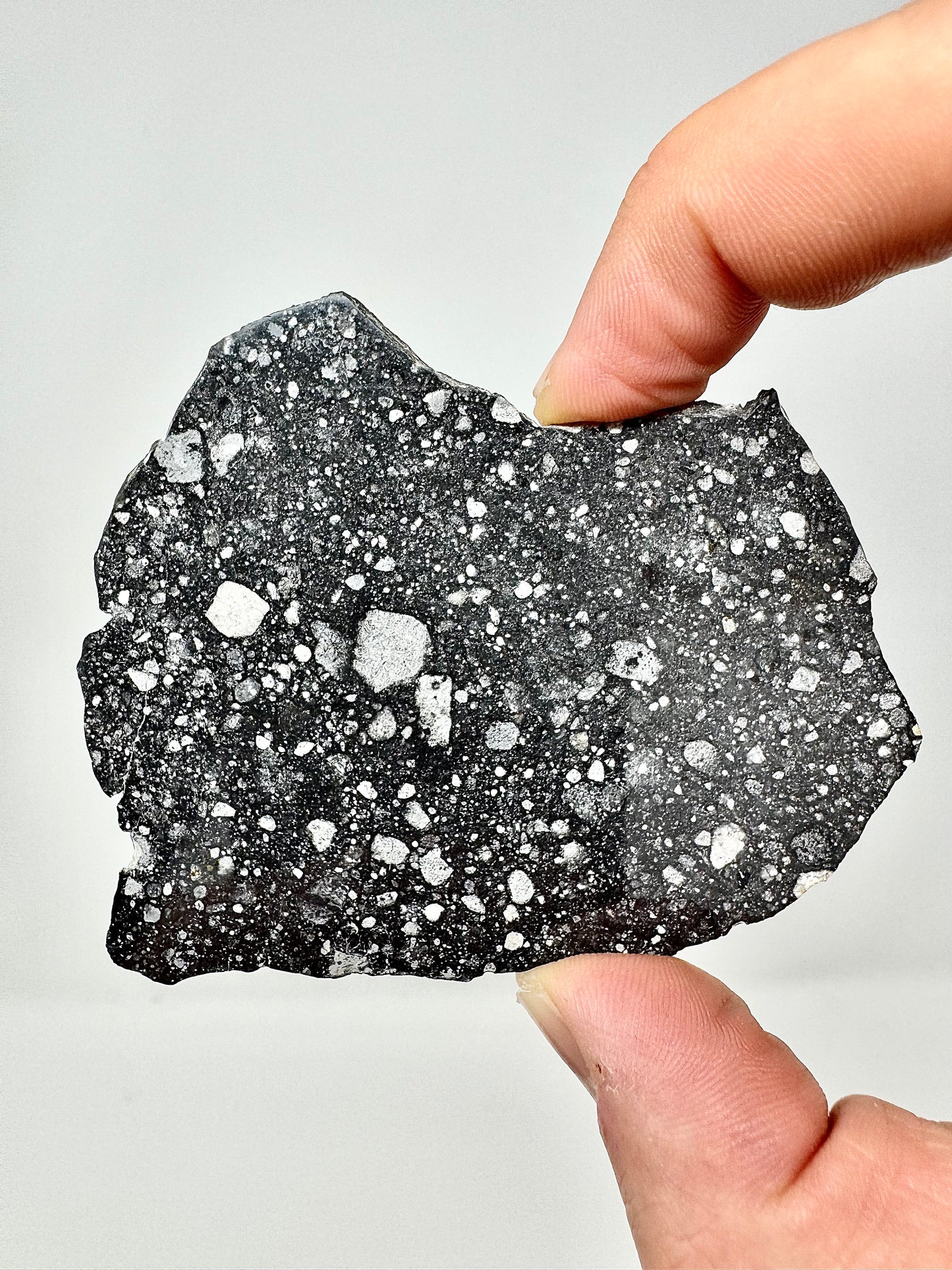Stunning NWA 17679 Lunar Breccia - FULL SLICE - 26.2g - A Genuine Piece Of Our Moon!