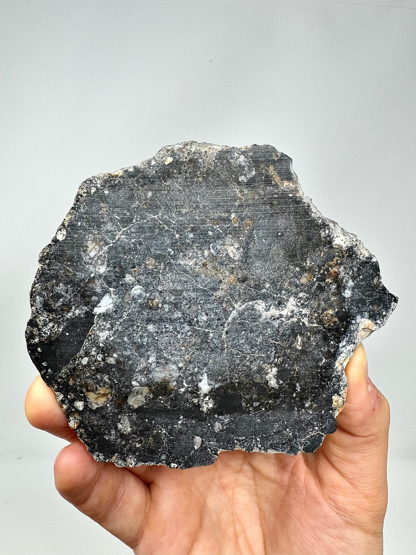 NEW! 65.8g FULL SLICE Jaw-Dropping Personal Classification of NWA 18785 Aubrite - Fragmental Monomict Breccia, Enstatite Achondrite Meteorite - Evidence of Possible Linkage To Planet Mercury