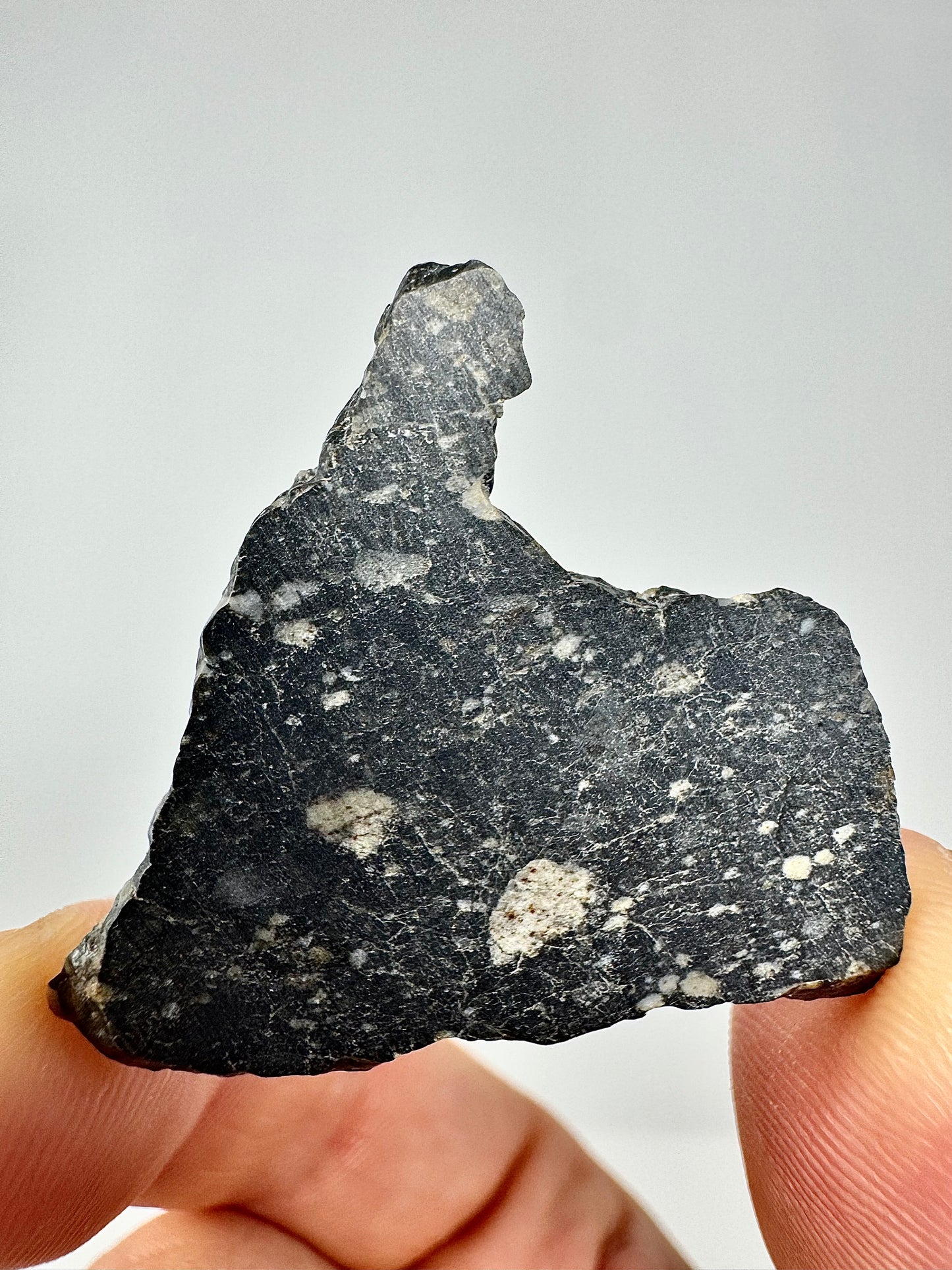 NEW! 3.8g Newly Discovered Lunar Breccia - FULL SLICE - A Genuine Piece Of Our Moon!