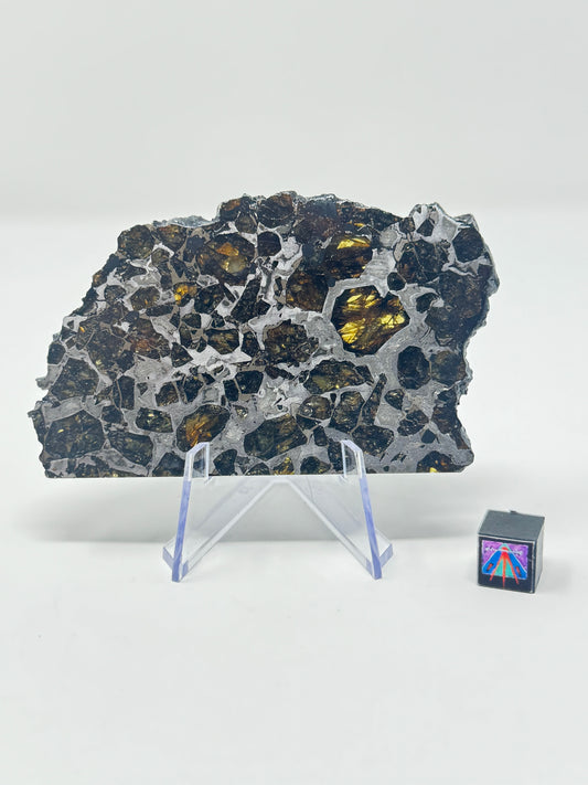 Brahin Pallasite Meteorite - 52.9g - From The Mantle/Core Of An Asteroid