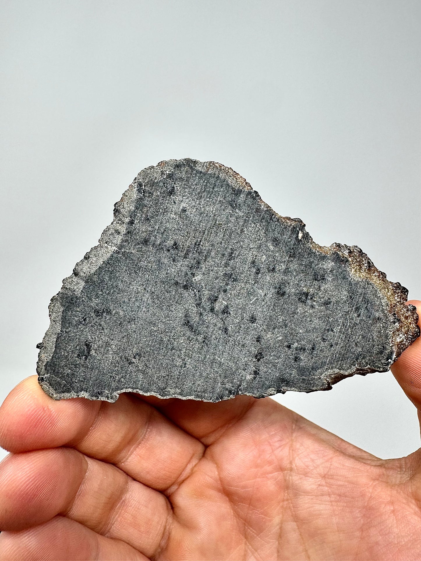 NEW/FULL SLICE: 18.8g Genuine Martian Meteorite - Scientifically Studied Rock From Planet Mars w/ Aqueous Alteration - NWA 18281
