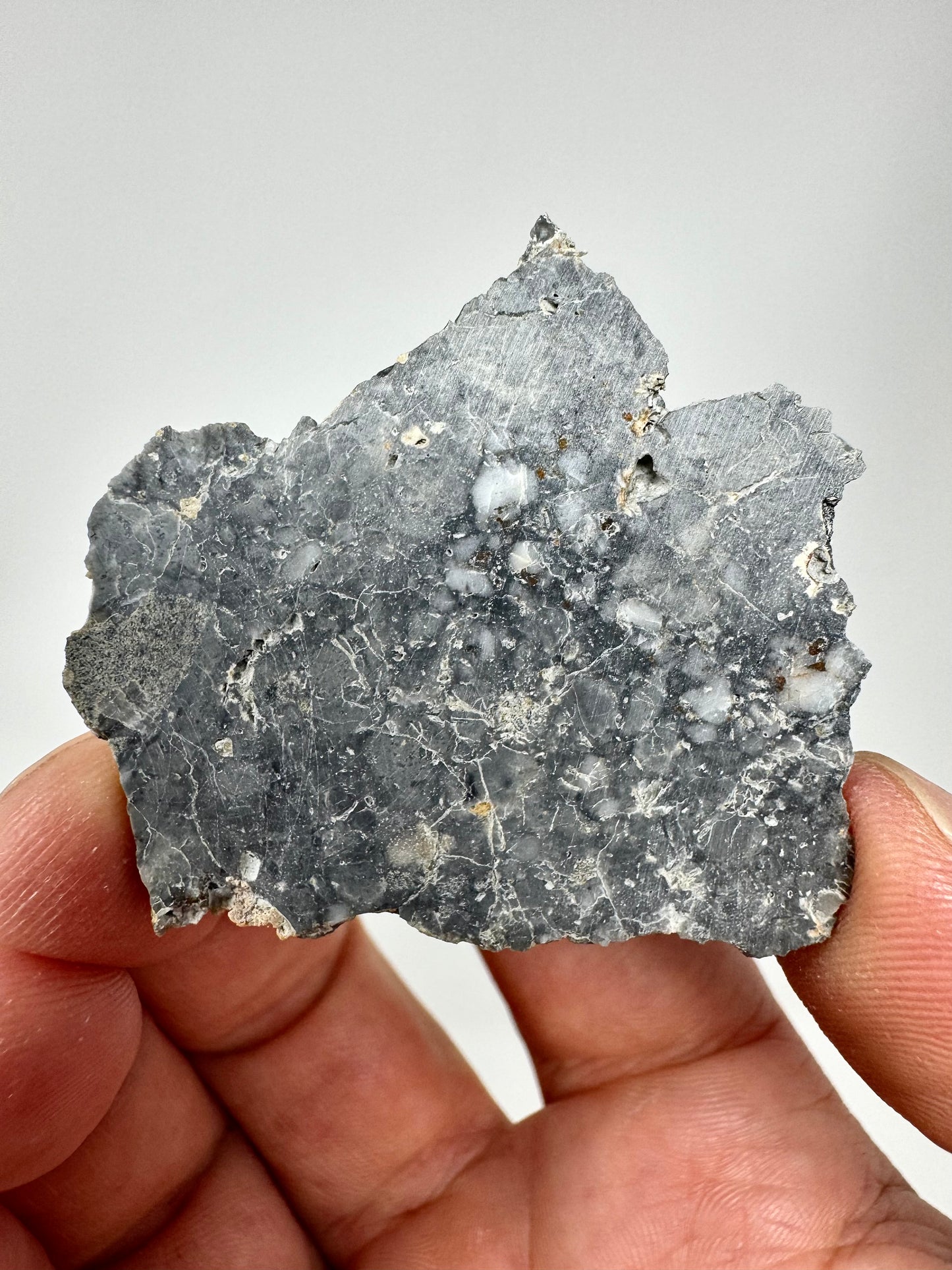 8.2g Adrar 017 Lunar Meteorite - A Rare Gabbro/Norite - From Our Moon!