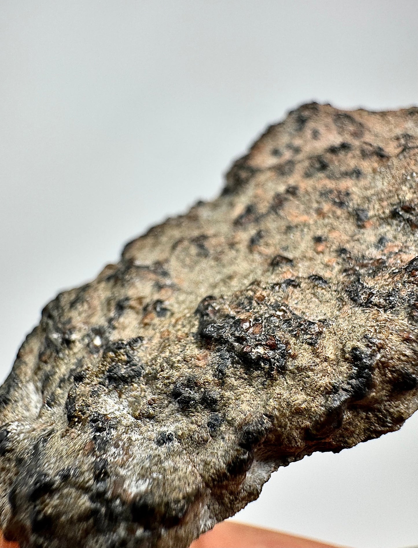 NEW/MAIN MASS: 60.4g Genuine Martian Meteorite - Scientifically Studied Rock From Planet Mars w/ Aqueous Alteration - NWA 18281