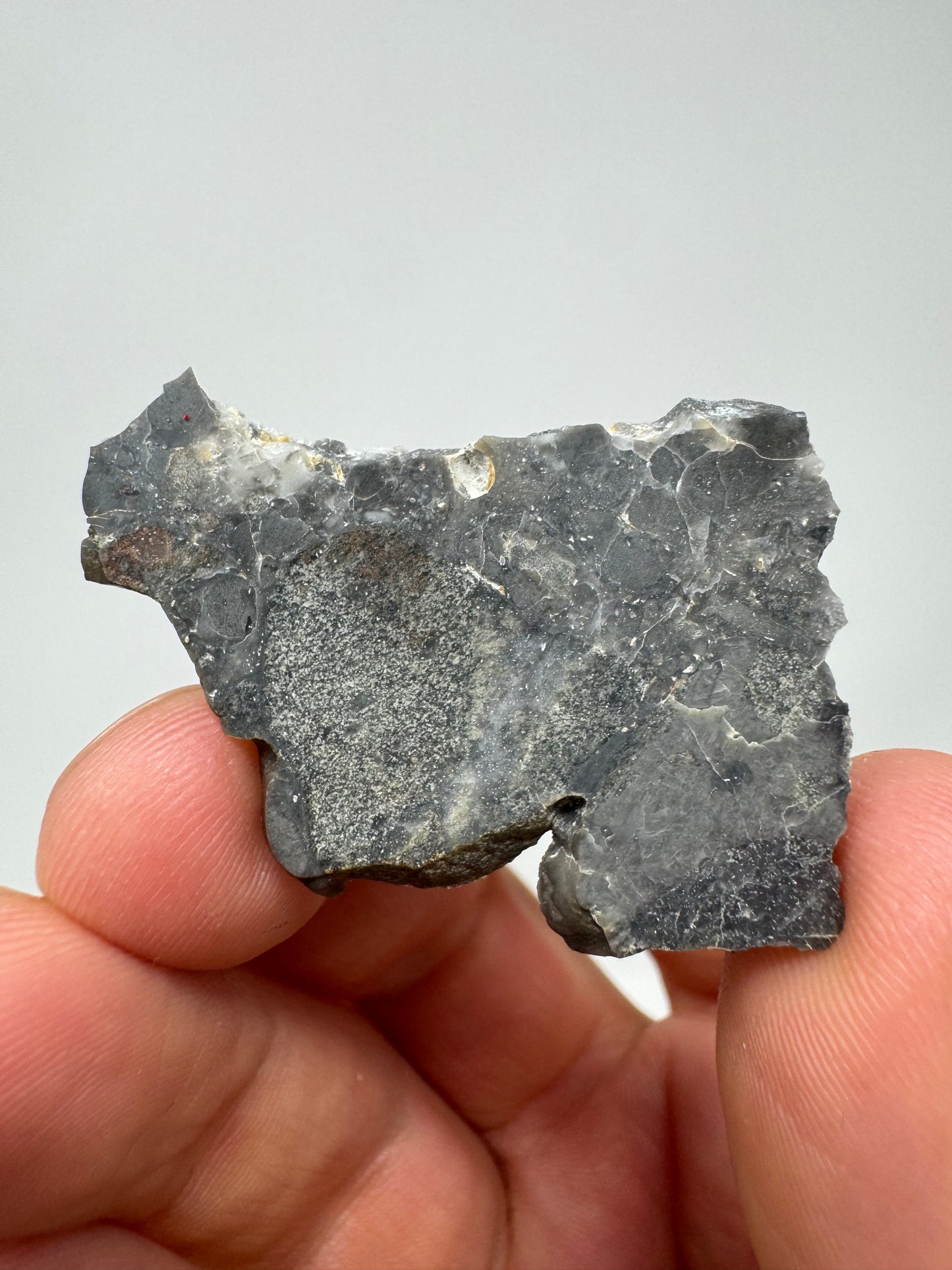 Nagjir 005 Lunar Melt Breccia - 5.1g “The Polar Bear” - A Beautiful, Rare Lunar Meteorite From The Moon!