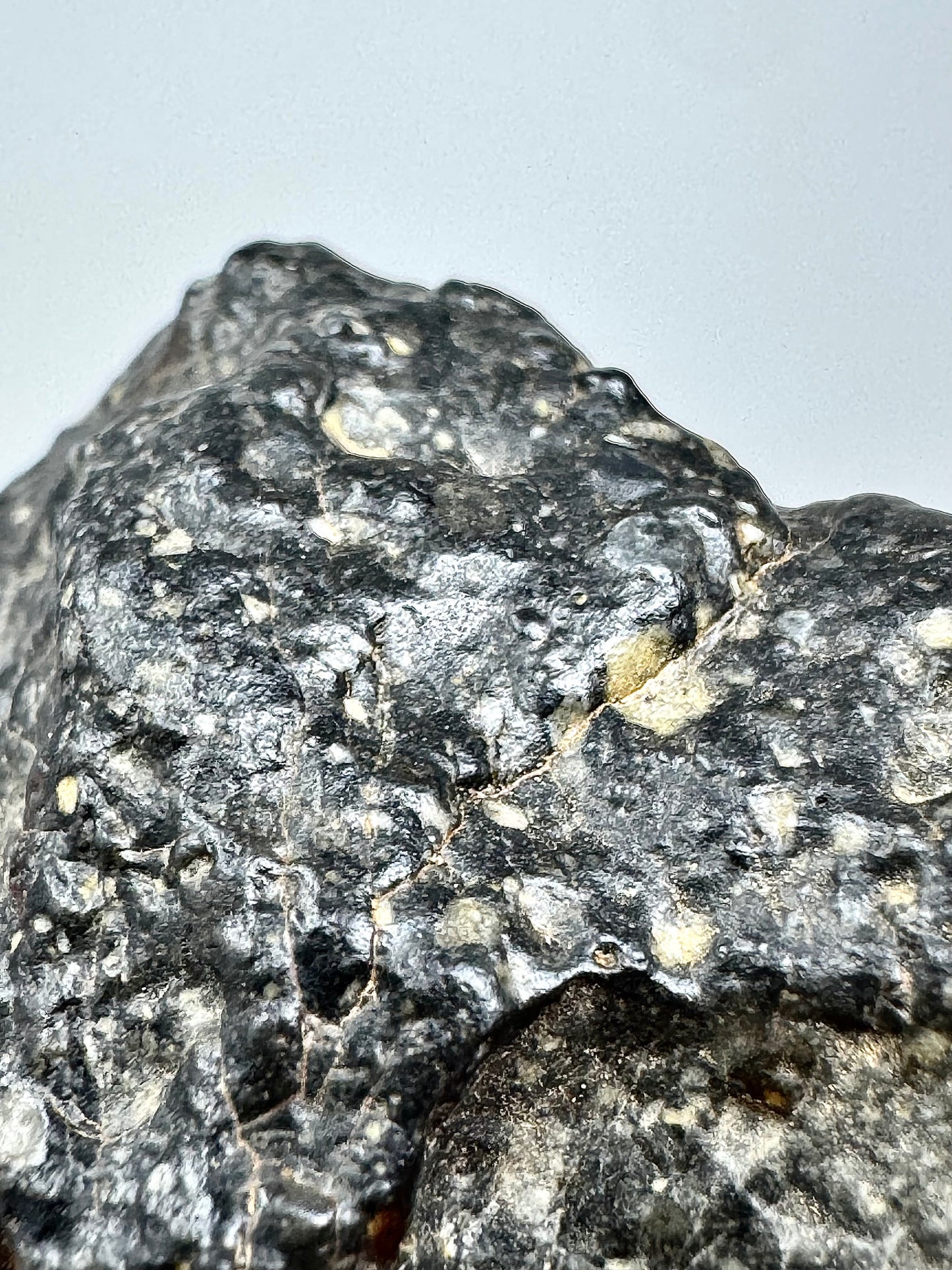 Mesmerizing NWA 13951 “Starry Night” Lunar Meteorite - FULL STONE - 30.9g