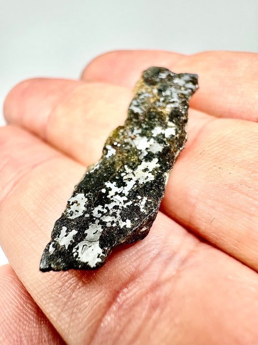The Famous Bondoc Mesosiderite Meteorite - 2.9g