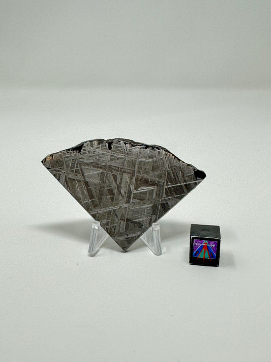 Muonionalusta Iron Meteorite - 42.1g