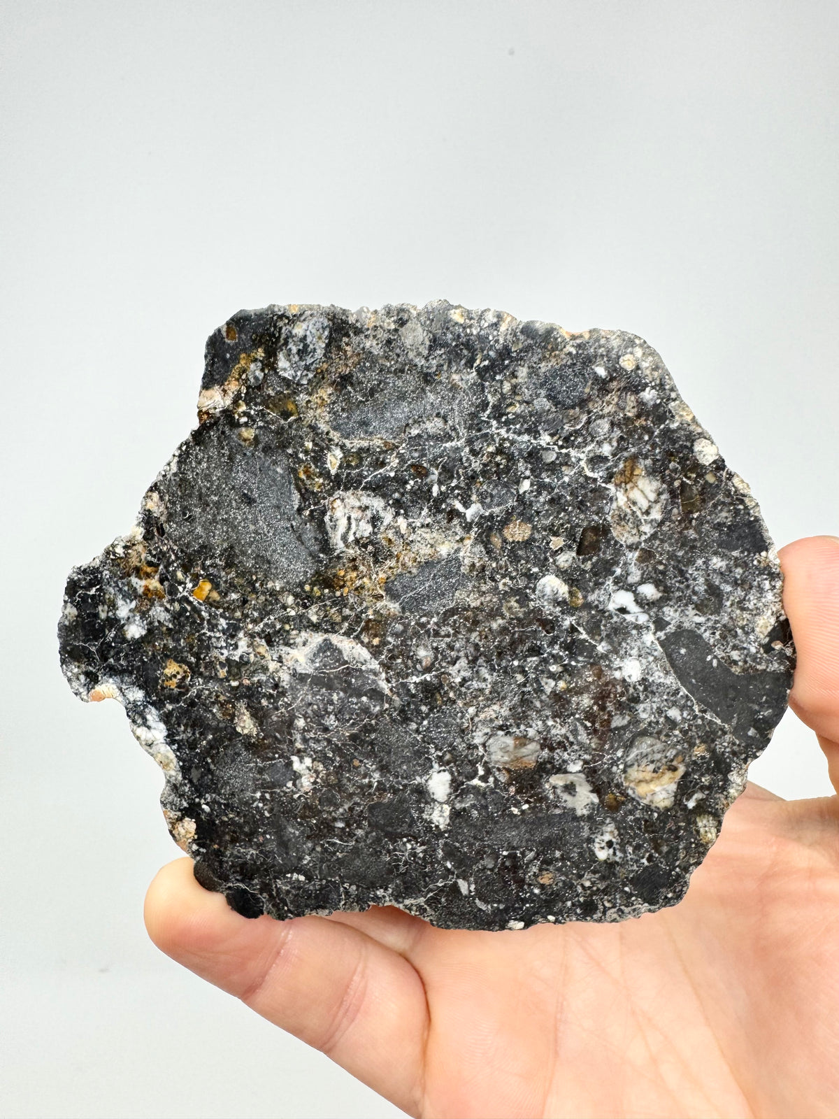 NEW! 63.4g FULL SLICE Jaw-Dropping Personal Classification of NWA 18785 Aubrite - Fragmental Monomict Breccia, Enstatite Achondrite Meteorite - Evidence of Possible Linkage To Planet Mercury