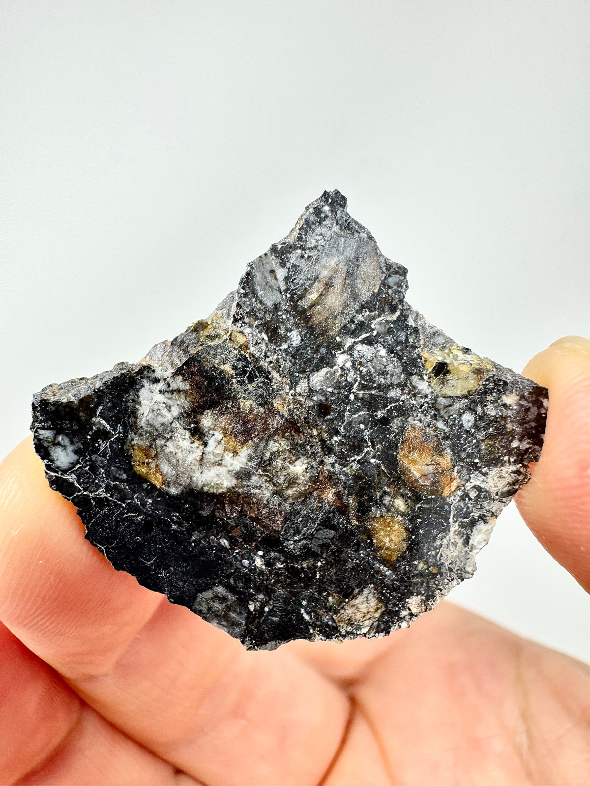 NEW! 5.2g Jaw-Dropping Personal Classification of NWA 18785 Aubrite - Fragmental Monomict Breccia, Enstatite Achondrite Meteorite - Evidence of Possible Linkage To Planet Mercury