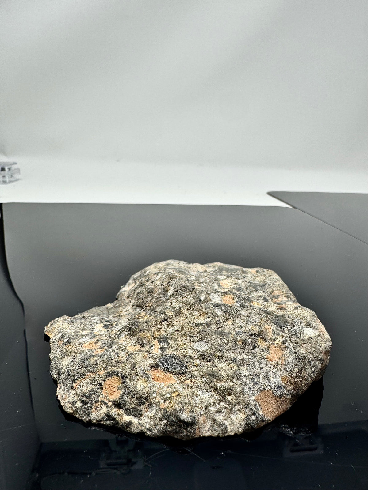NEW!  223.9g END CUT (Second Largest Mass) Jaw-Dropping Personal Classification of NWA 18785 Aubrite - Fragmental Monomict Breccia, Enstatite Achondrite Meteorite - Evidence of Possible Linkage To Planet Mercury