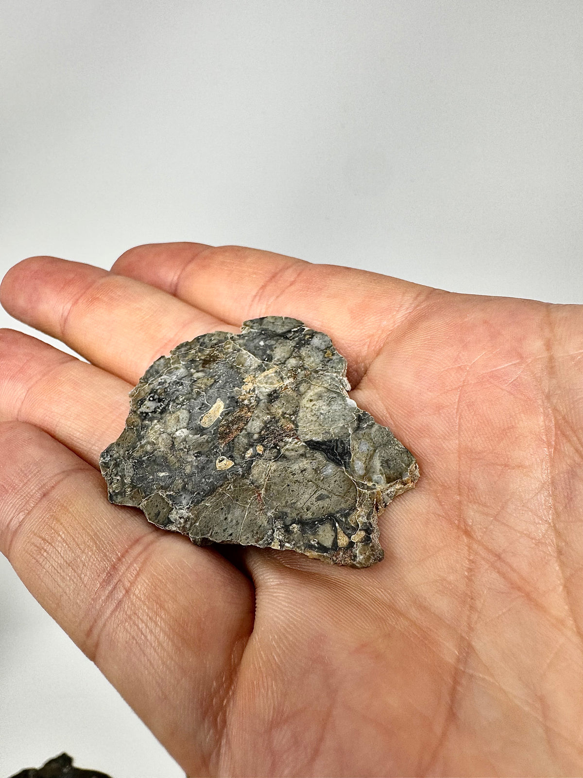 6.0g Adrar 017 Lunar Meteorite “The Halloween Skull” - A Rare Gabbro/Norite - From The Moon!