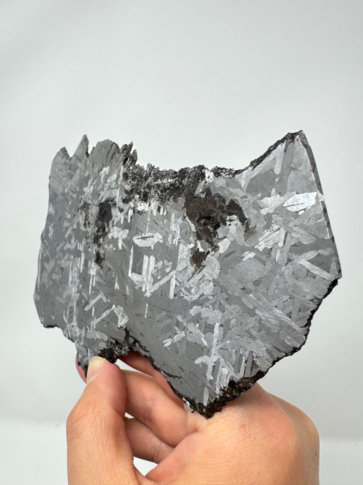 Historical Toluca Meteorite Found in 1776! Used As Tools For Centuries! From The Core Of An Asteroid! 297.6g